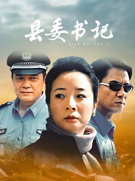 县委书记