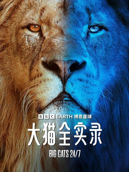 大猫全实录