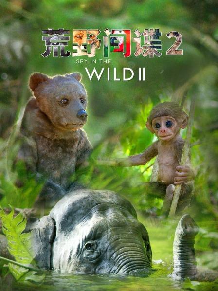 荒野间谍 第二季