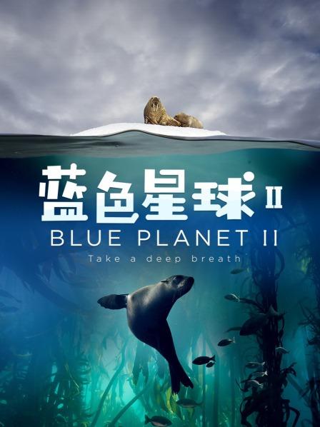 蓝色星球 第二季