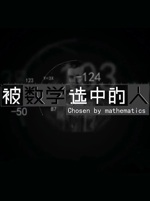 被数学选中的人