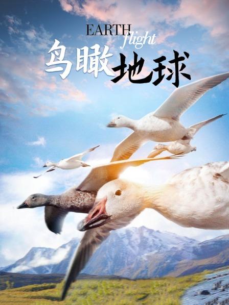 鸟瞰地球