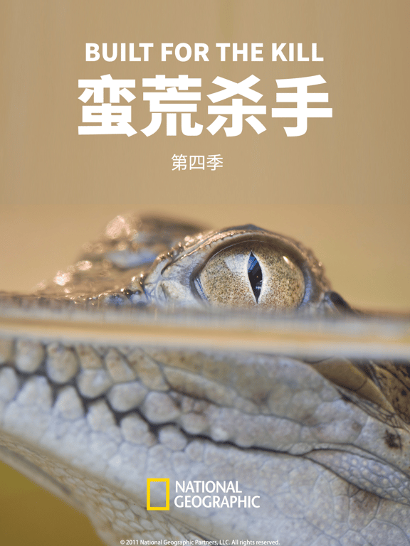 蛮荒杀手 第四季