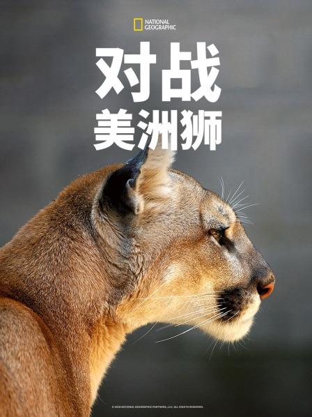 对战美洲狮