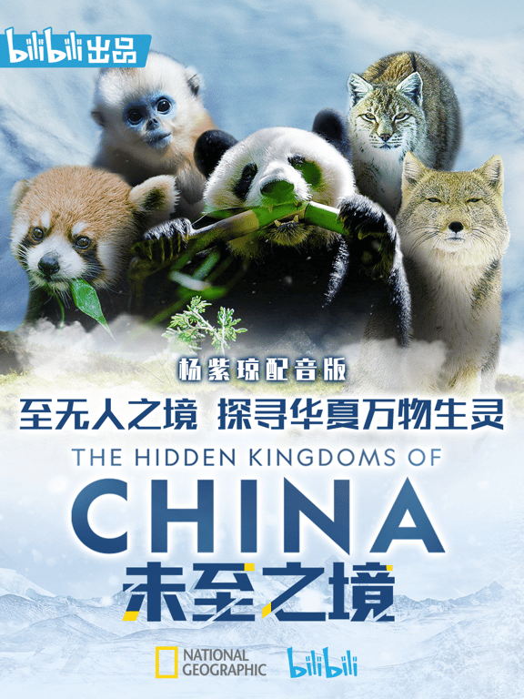 未至之境（杨紫琼配音版）