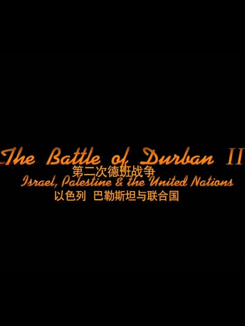 德班战争二：以色列巴勒斯坦&联合国