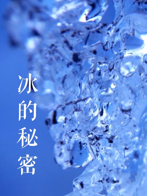 冰的秘密