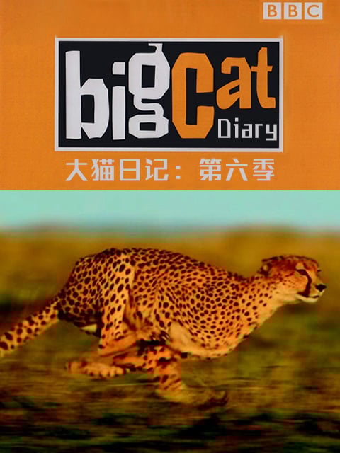 大猫日记 第六季