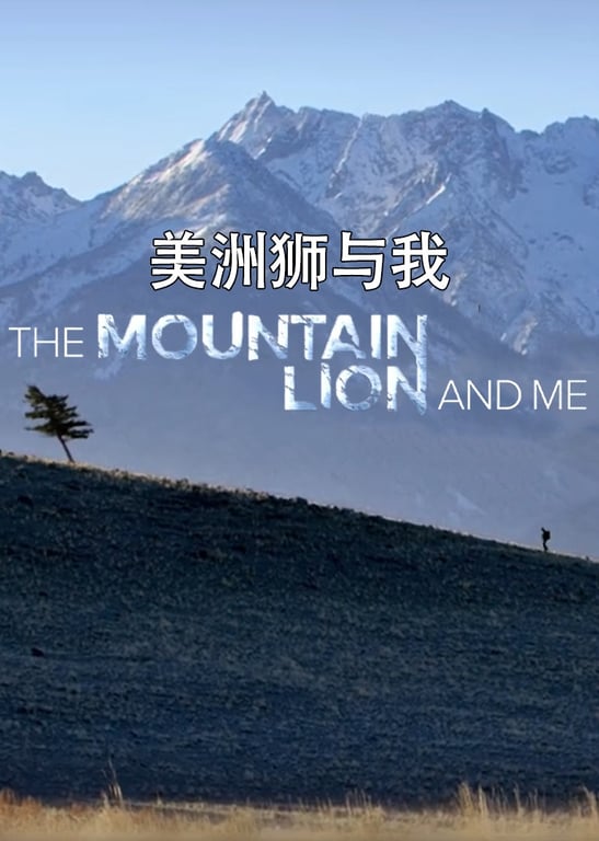 美洲狮与我