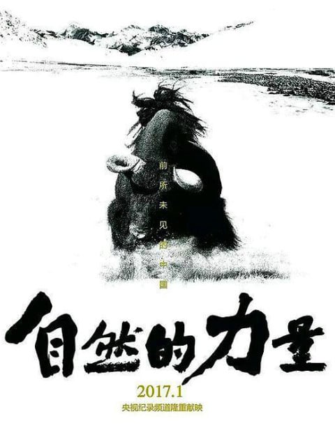 自然的力量