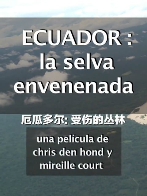 厄瓜多尔：受伤的丛林