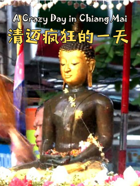 清迈疯狂的一天