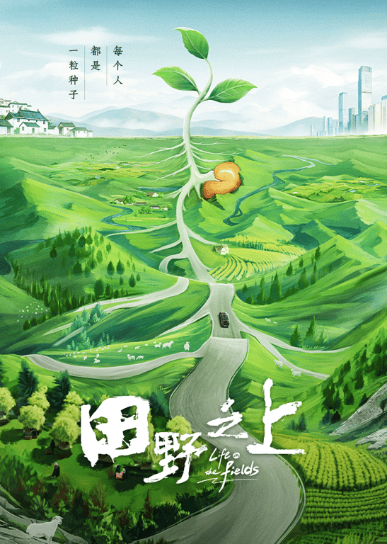 田野之上