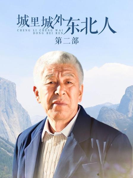 城里城外东北人 第二部