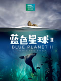 蓝色星球2普通话版