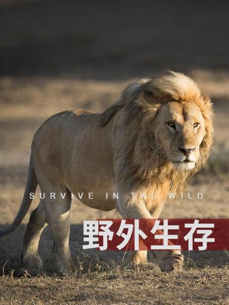 野外生存