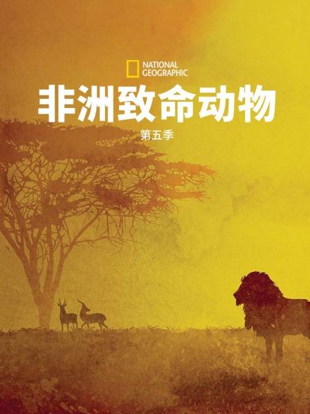 非洲致命动物 第五季