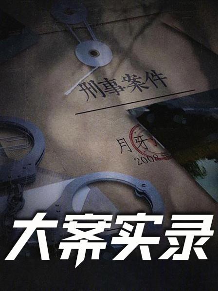 大案实录