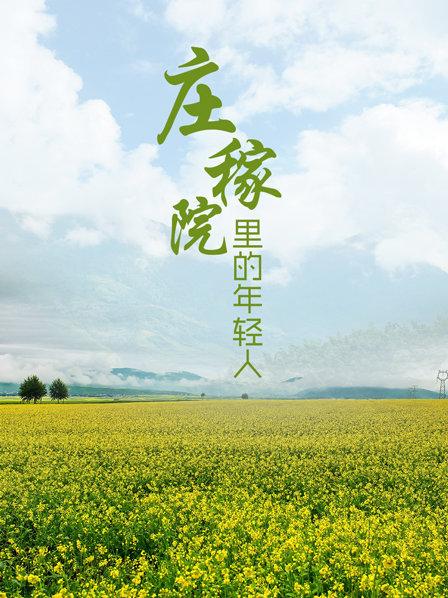 庄稼院里的年轻人
