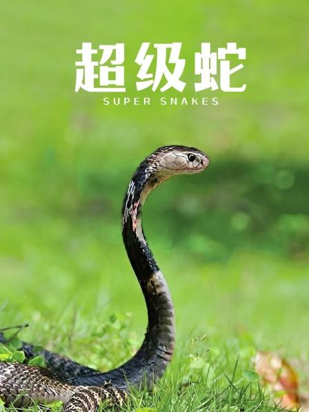 超级蛇