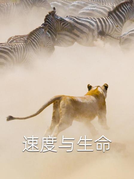 速度与生命