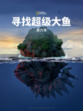 寻找超级大鱼 第六季