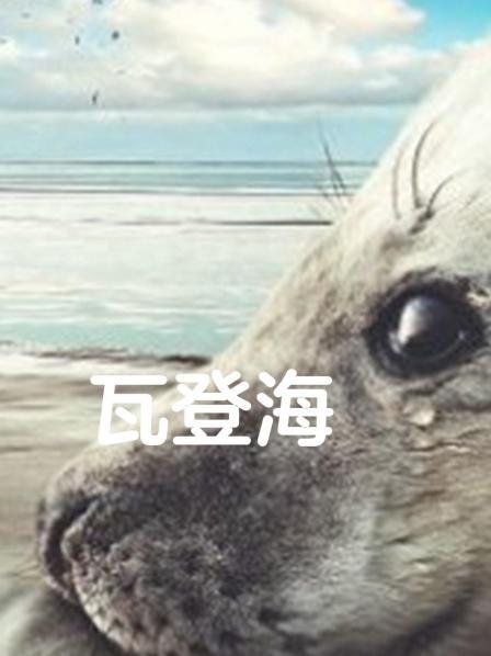 瓦登海
