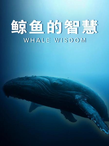 鲸鱼的智慧