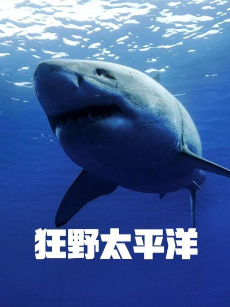 狂野太平洋