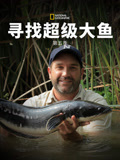 寻找超级大鱼 第五季
