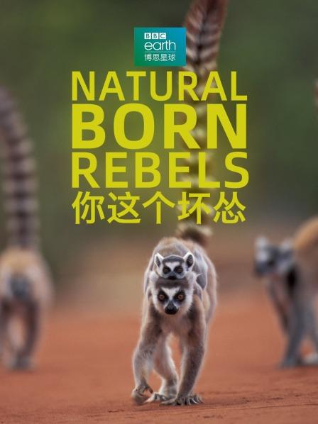 你这个坏怂