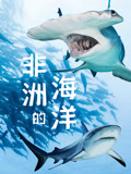 非洲的海洋