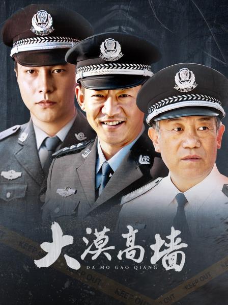 大漠高墙