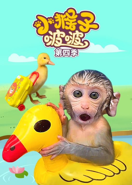 小猴子啵啵 第四季