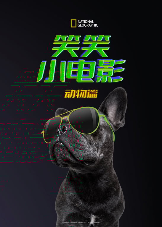 笑笑小电影：动物篇