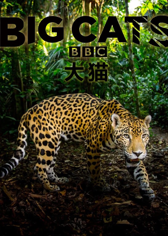 大猫：终极猎食者[英语]
