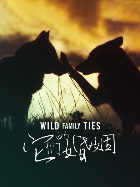 它们的婚姻