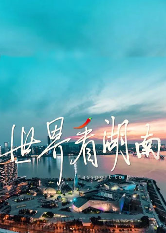 世界看湖南 2020