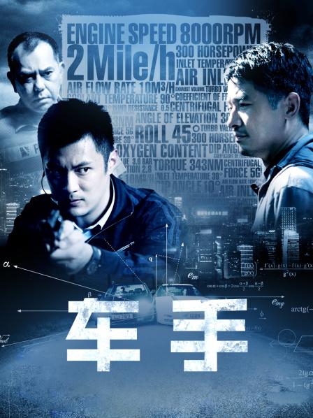 车手