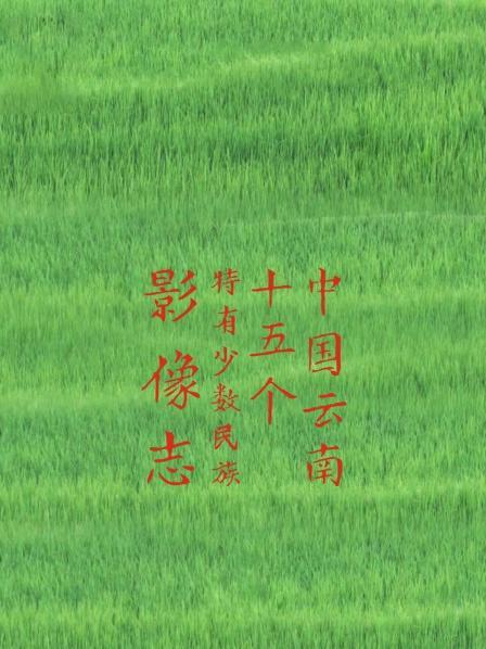 中国云南十五个特有少数民族影像志