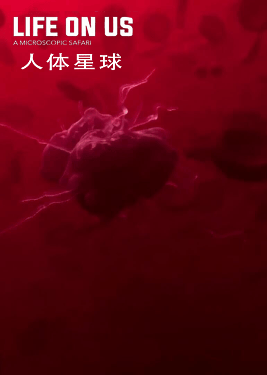 人体星球