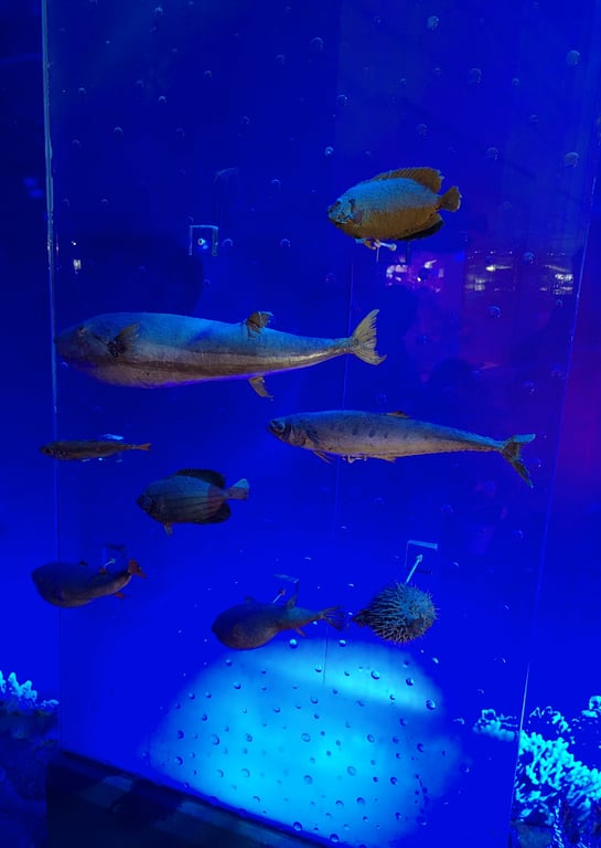 赶海