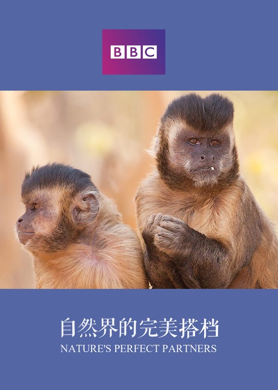 自然世界：自然界的完美搭档