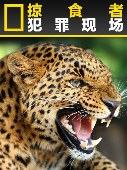 掠食者犯罪现场