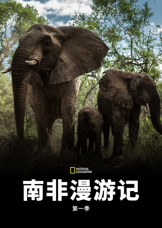 南非漫游记 第一季