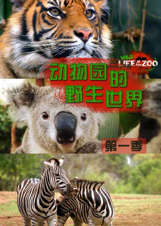 动物园的野生世界 第一季