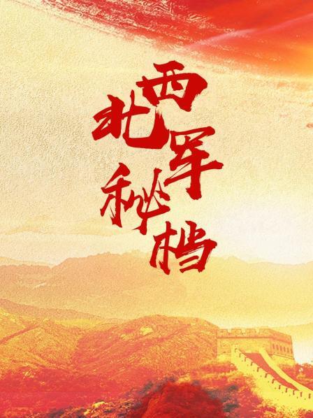 西北军秘档