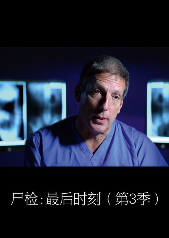 尸检：最后时刻 第3季