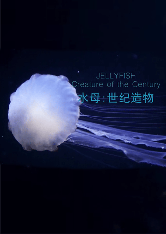 水母：世纪造物