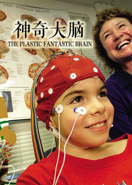 神奇大脑